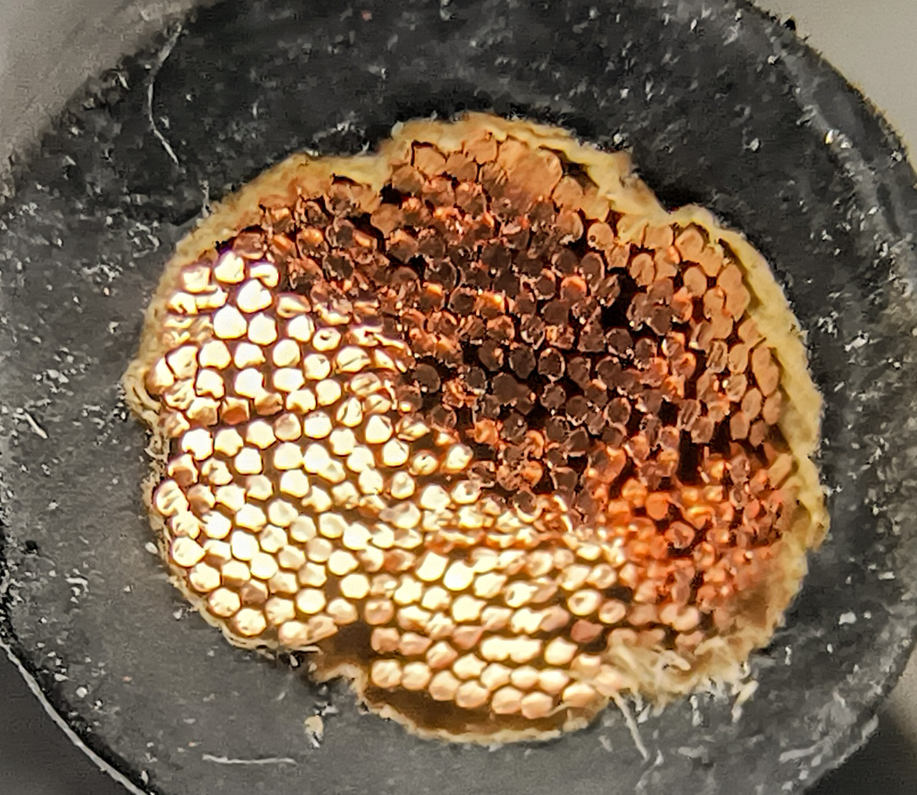 TRUE® 4 Gauge AWG 25 Ft Black + 25 Ft Red Flexible Copper USA Welding Cable - Image 6