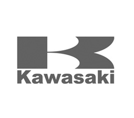 kawasaki2.jpg